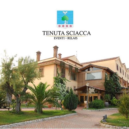 הוילה Falciano del Massico Tenuta Sciacca מראה חיצוני תמונה