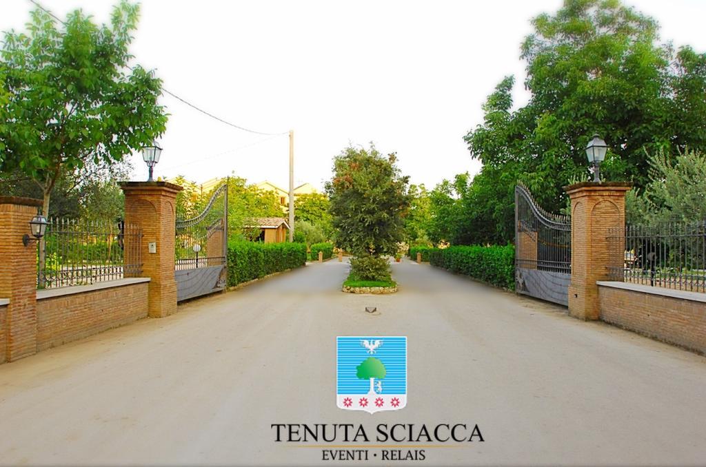 הוילה Falciano del Massico Tenuta Sciacca מראה חיצוני תמונה
