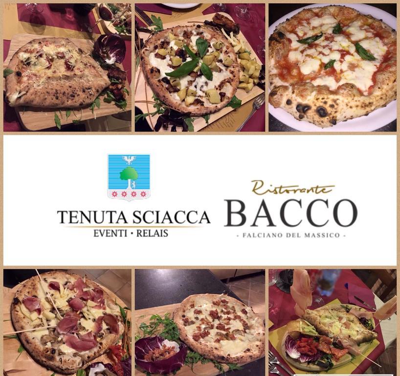 הוילה Falciano del Massico Tenuta Sciacca מראה חיצוני תמונה